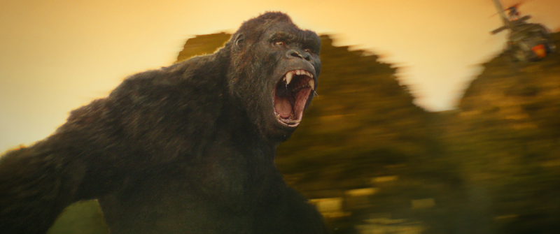 Photo: Warner Bros.